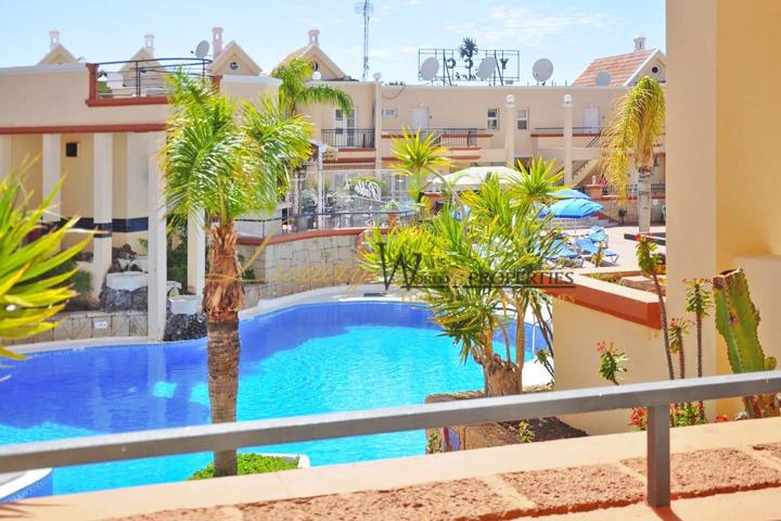 Yucca Park - Costa Adeje (C) photo 0
