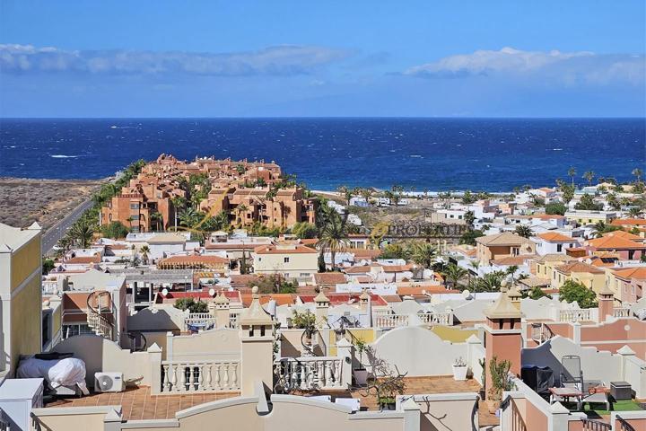 Paraiso de Palm Mar - Palm Mar (C) photo 0