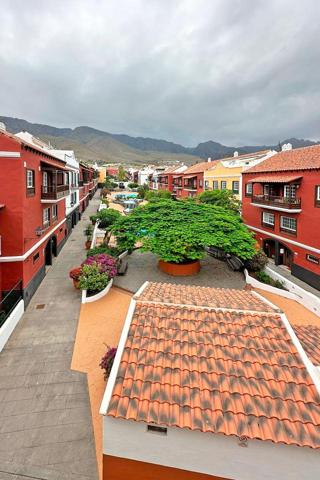 Jardin Botanico - Los Olivos (Adeje) (C) photo 0