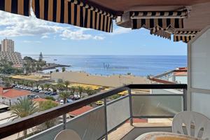 Jardines del Sur - Los Cristianos photo 0