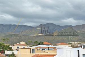 Flamboyan - El Madronal photo 0