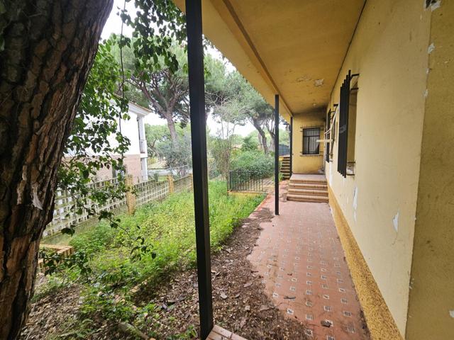 CHALET CON PISCINA PARA REFORMAR EN PINARES DE OROMANA photo 0