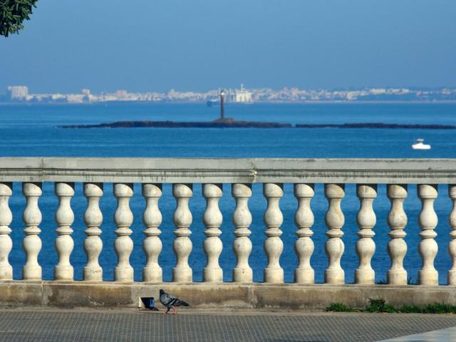 ¡Tu refugio en el centro histórico de Cádiz con azotea privada! photo 0