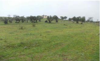 Suelo urbanizable sectorizado photo 0
