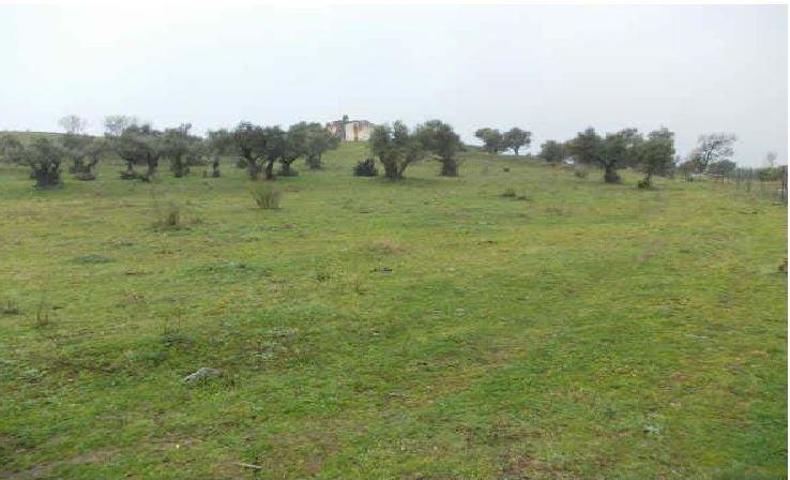 Suelo urbanizable sectorizado photo 0