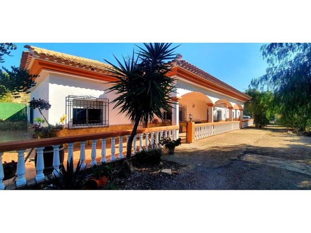 Chalet rustico en venta en Los Gallardos, 20.000 m² de terreno photo 0