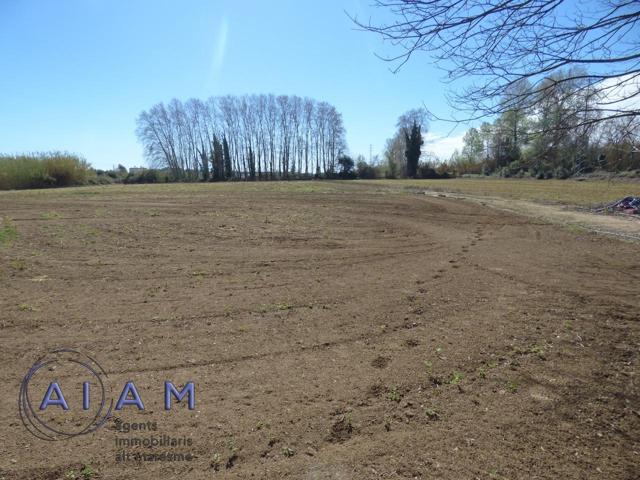 Parcela Agrícola en Tordera photo 0