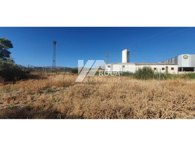 Terreno en venta en Expansión Norte-Universidad-Los Olivares-Las Infantas photo 0