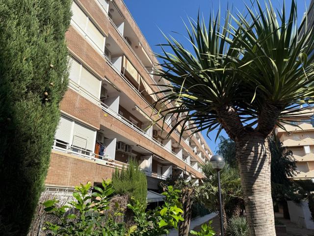 Pis en venda en segona linea de platja de Pineda de Mar photo 0