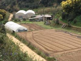 Terreno agrícola en Calella photo 0