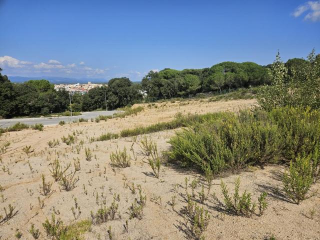 Solar industrial en venta en Palafolls photo 0