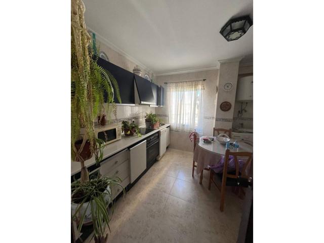 piso en Cadiz, en avenida de la Sanidad Publica photo 0