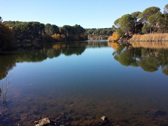 LAS JARAS. PARCELA URBANA CON PROYECTO CON ACCESO DIRECTO AL LAGO photo 0