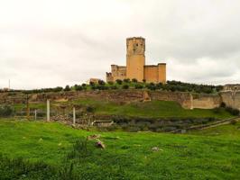 FINCA A LA FALDA DEL CASTILLO DE BELALCAZAR! photo 0