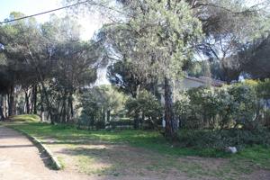 PARCELA EN CERRO MURIANO photo 0