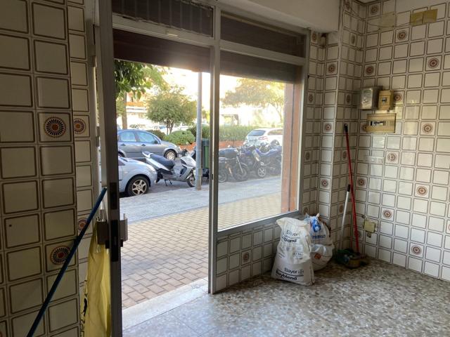 LOCAL COMERCIAL JUNTO A AV. CARLOS III. Incluye uso exclusivo de plaza de garaje photo 0