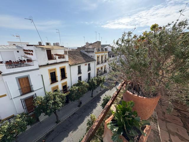 DESCUBRE EL ENCANTO ÚNICO DE ESTA ESPECTACULAR CASA EN LA JUDERIA DE CORDOBA! photo 0