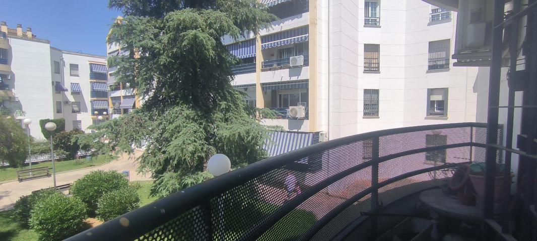 Amplio piso con terraza, cochera y trastero en Miralbaida (en urbanización ajardinada) photo 0