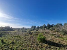 Venta de Finca Rústica en Pont d'Alentorn, Tarragona - 13000 m² con Casita photo 0