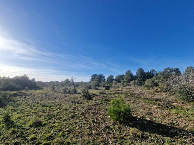 Venta de Finca Rústica en Pont d'Alentorn, Tarragona - 13000 m2 con Casita photo 0