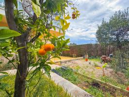 Piso esquinero con jardín privado en Segur de Calafell photo 0