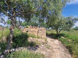 Se vende finca rustica photo 0