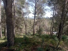 Lote de terrenos en Riudecanyes photo 0