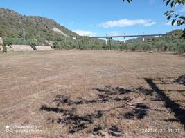 MUNTANYA DELS MOLINS. RODA DE BERA photo 0