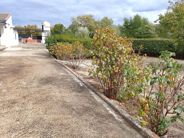 AOC, VENDE EN EXCLUSIVA CHALET, 2 HAB, 2 BAÑOS, GARAJE Y  BARBACOA photo 0