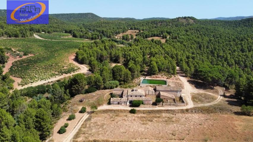 FINCA DE VIÑEDOS EN COFRENTES DE 209 HECTAREAS photo 0
