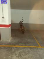 PLAZA DE GARAJE PARA MOTO photo 0