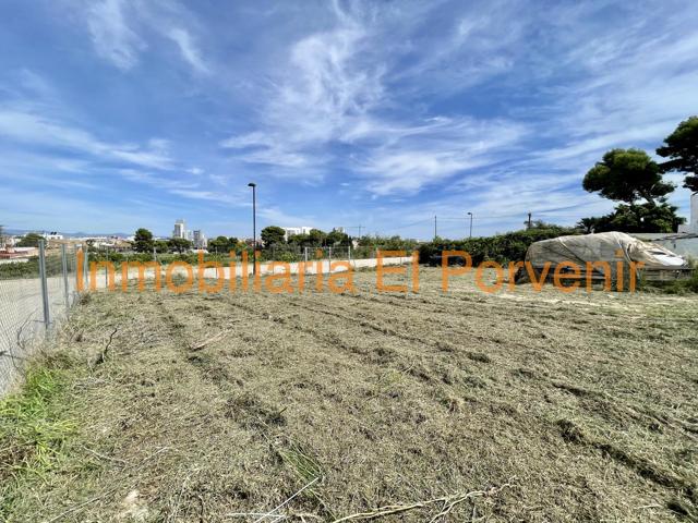 Terreno Urbanizable En venta en Avd. Alta-Auditorio, Torrent photo 0