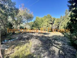Terreno Urbanizable En venta en Santa Apolonia, Torrent photo 0
