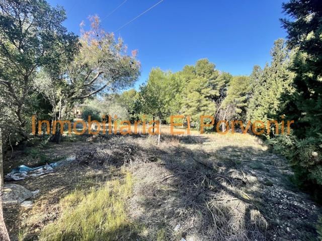 Terreno Urbanizable En venta en Santa Apolonia, Torrent photo 0