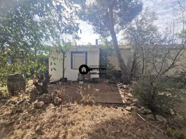 INMOBILIARIA TEJARES VENDE ESTUPENDA OPORTUNIDAD A ESCASOS METROS DE ALBACETE photo 0