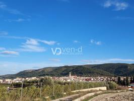 campo muy cerca de Enguera photo 0