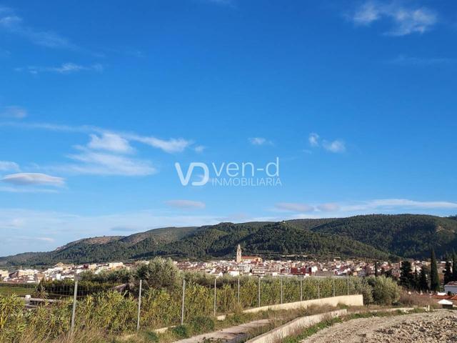 campo muy cerca de Enguera photo 0