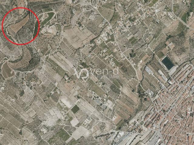 Parcela a 2 Km de Enguera photo 0