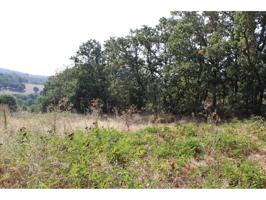 Terreno en venta en Cercedilla photo 0