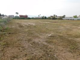 VENTA PARCELA DE HUERTA DE 8.323 M2 EN CRTA. ALICANTE photo 0