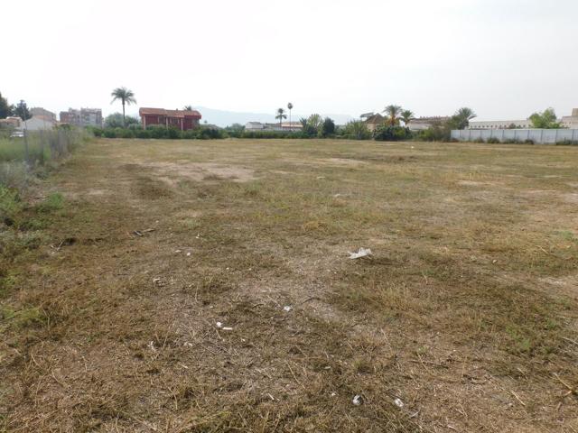 VENTA PARCELA DE HUERTA DE 8.323 M2 EN CRTA. ALICANTE photo 0