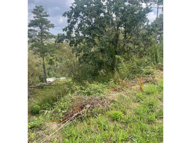 Terreny en venda photo 0