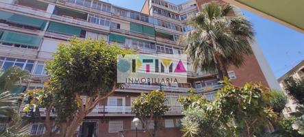 PLANTA BAJA JUNTO AL BULEVAR DEL PLA photo 0