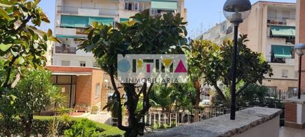 PLANTA BAJA JUNTO AL BULEVAR DEL PLA photo 0