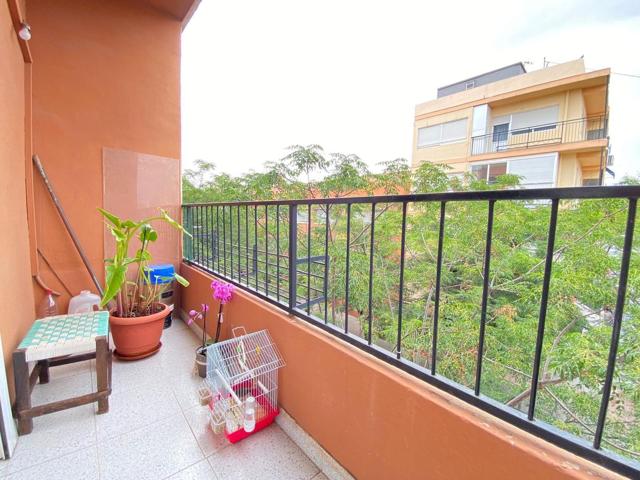 🏡✨ **¡Ven a visitar esta magnífica vivienda en esquina en el barrio de Ciudad de Asís!** 🌟 photo 0