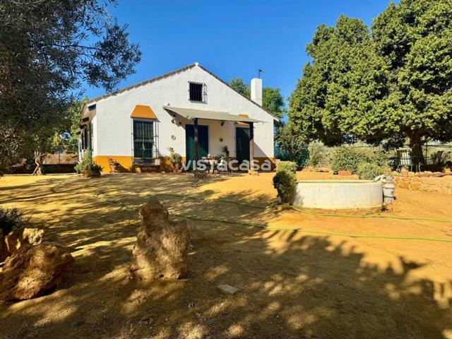 Venta de finca rústica en Mairena del Alcor photo 0