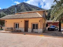 Alquiler Elche Alicante photo 0