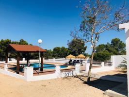 Alquiler Pinar De La Perdiz Pilar De La Horadada Alicante photo 0