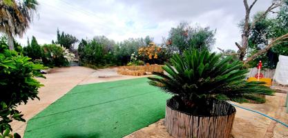 FANTASTICA FINCA LLUCMAJOR CON DOS VIVIENDAS PISCINA photo 0