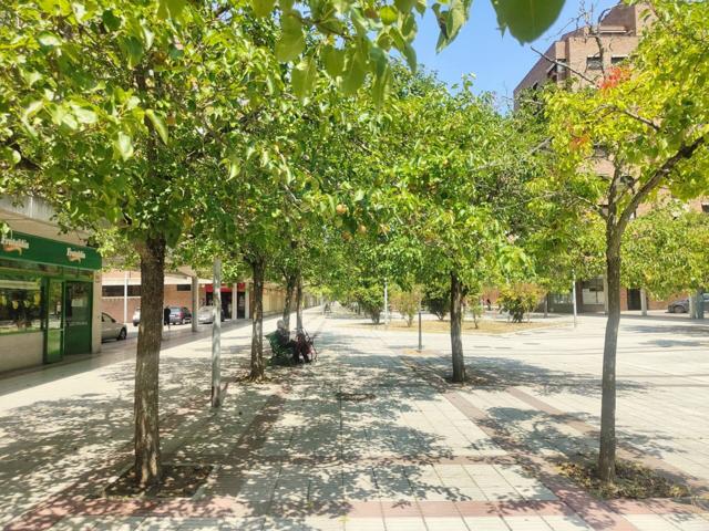 Local en alquiler en Ermitagaña-Mendebaldea-Etxabakoitz(31008) photo 0